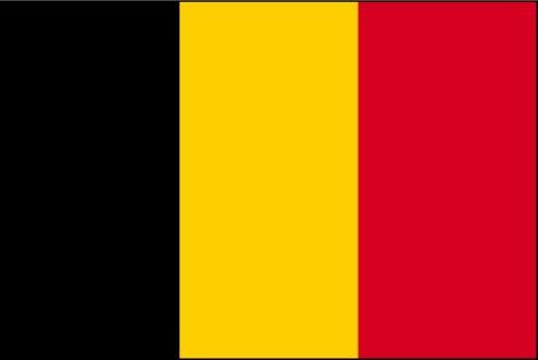 Les grands patrons exilés en Belgique rattrapés par le fisc français